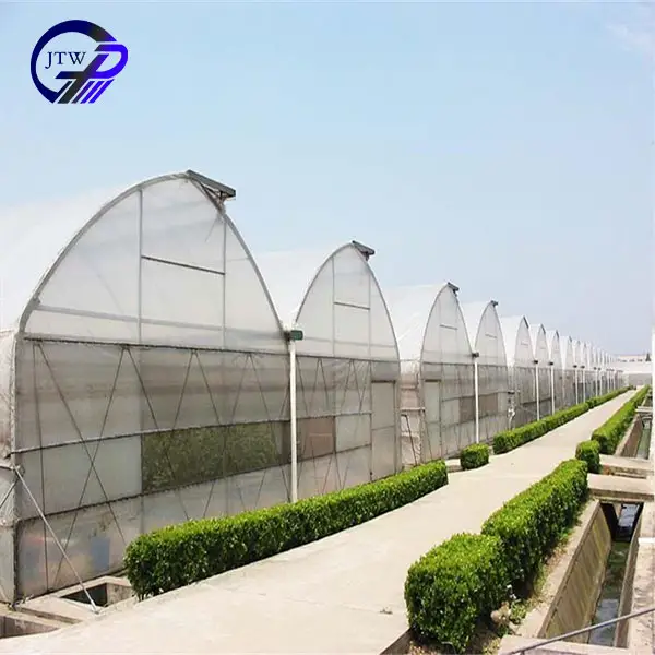 Winter Greenhouse System Supply Large Greenhouse Agricultural For Plants