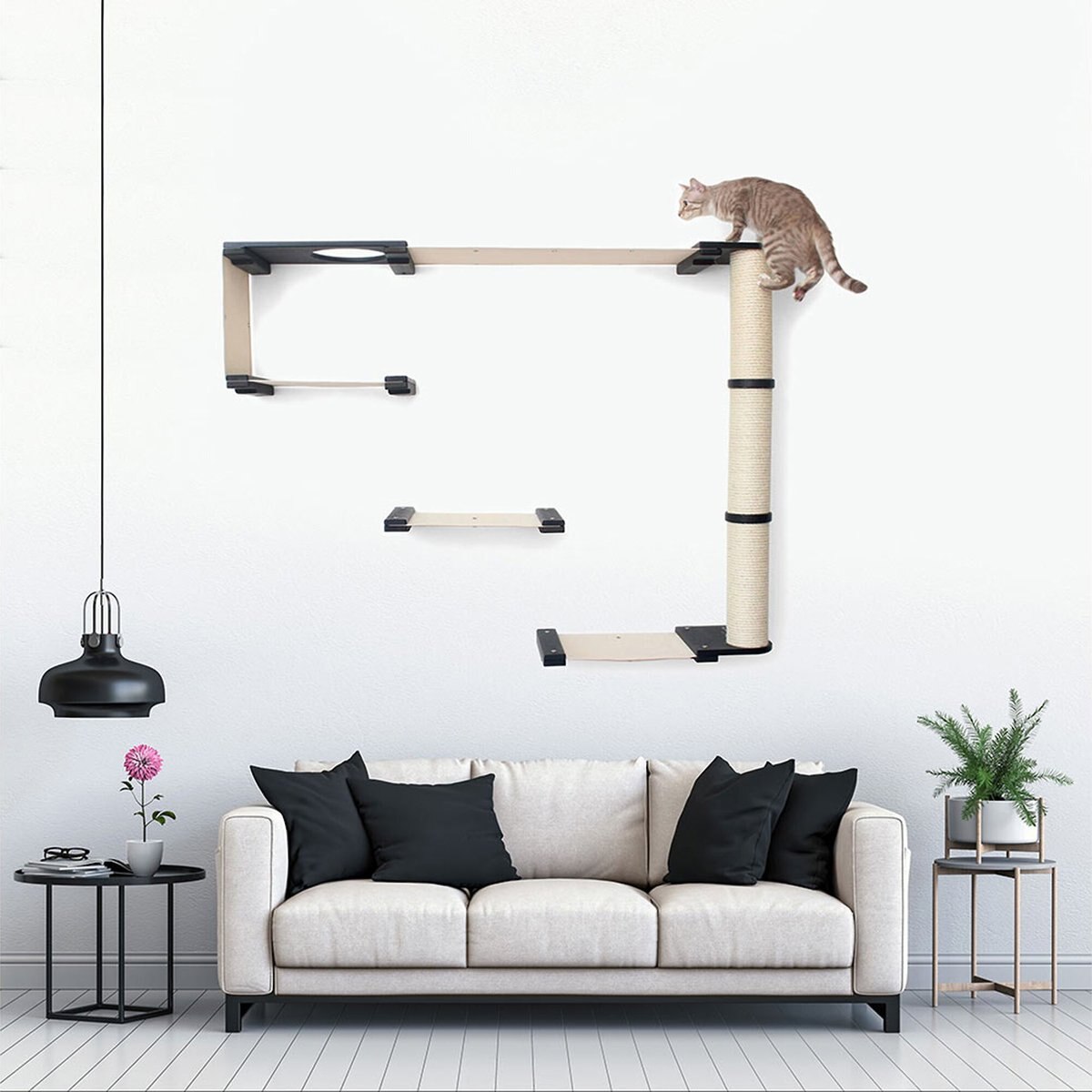 CatastrophiCreations Climb Wall Mounted Activity Cat Tree Shelf Set