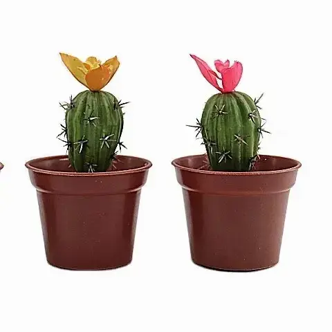 Artificial plant mini  Potted Plants ceramics small artificial plastic plant