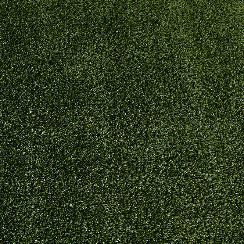 Loomaknoti Premium Artificial Grass Rug