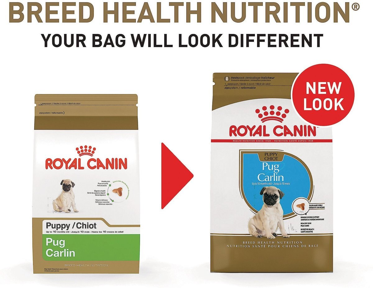 Royal Canin Breed Health Nutrition Pug Puppy Dry Dog Food