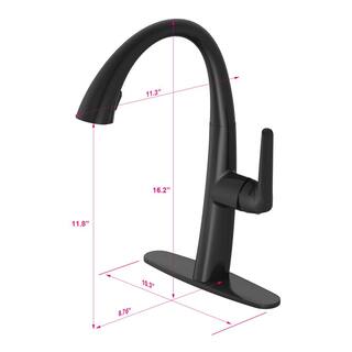 PRIVATE BRAND UNBRANDED Deveral Single-Handle Pull Down Sprayer Kitchen Faucet in Matte Black D00140O