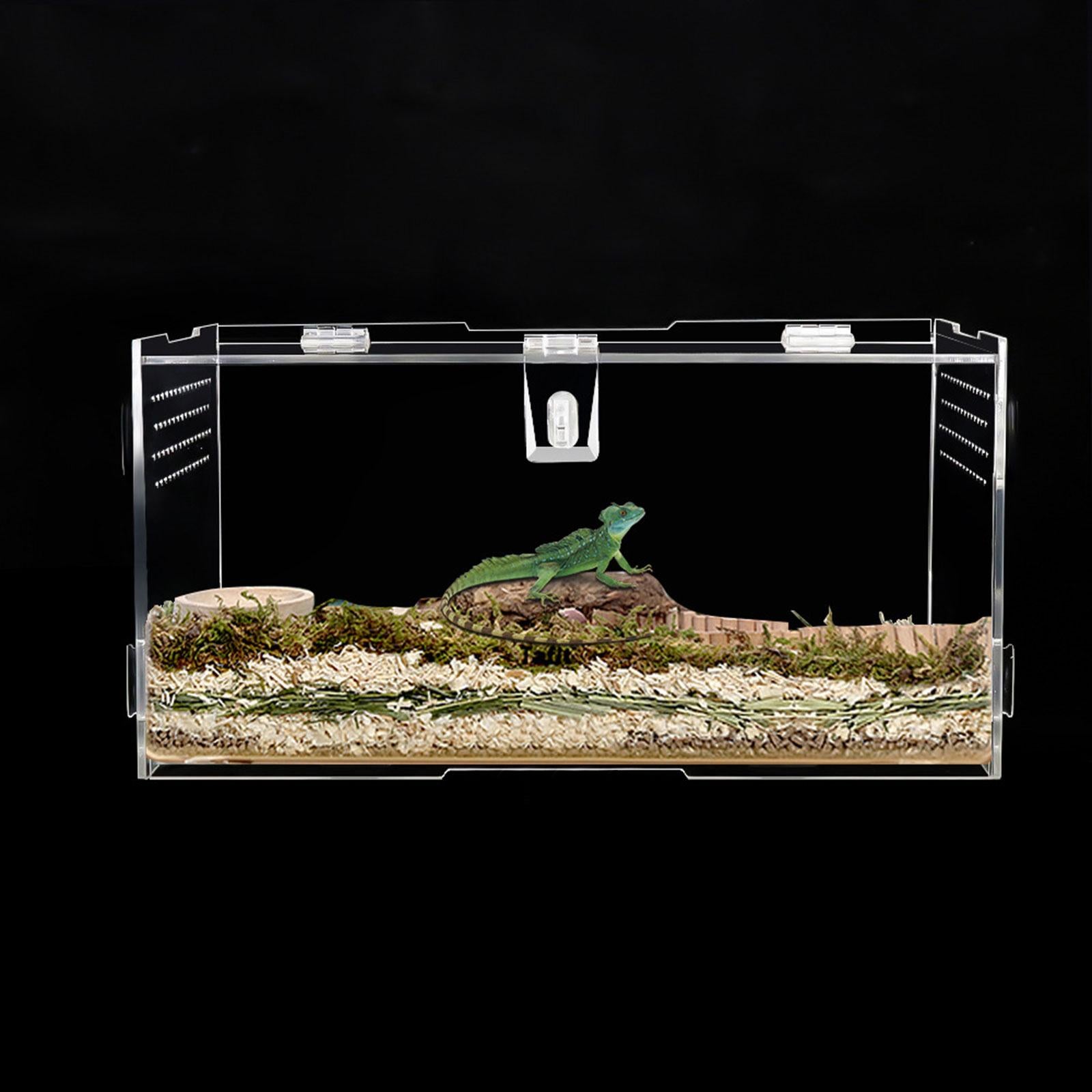 Reptile Breeding Box Clear Acrylic Feeding Box Transport Storage Box Reptile Terrarium Tank for Invertebrates Isopods Turtle Scorpion