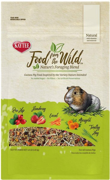 Kaytee Food From the Wild Guinea Pig Food， 4-lb bag