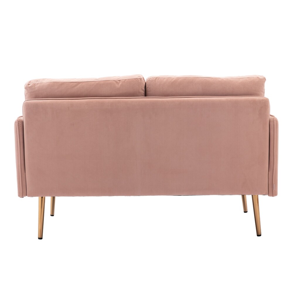 Comfort Velvet Upholstery Accent Loveseat Sofa with Stainless Tapered Legs