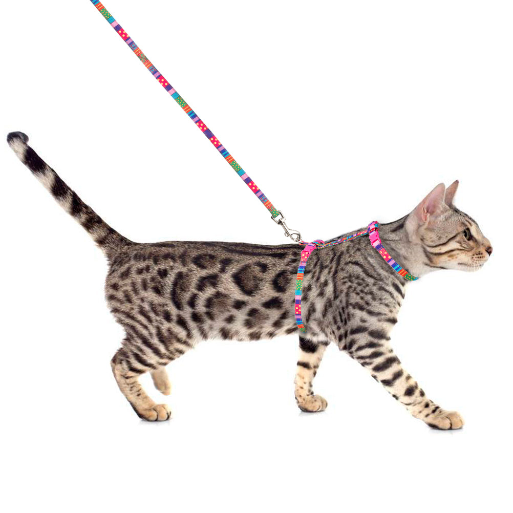 Buckle Cat Harness With Leash，Buckle Colorful Design for Cat Harness and Puppy Cat