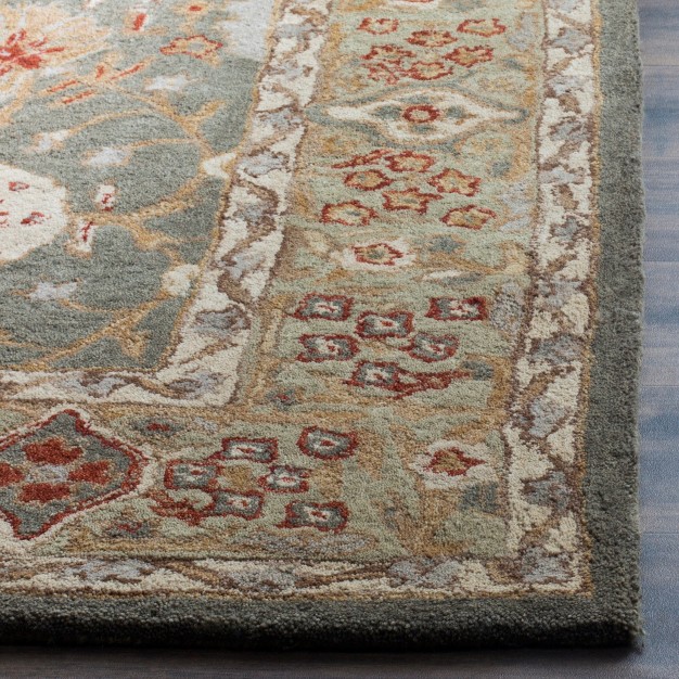 Anatolia An516 Hand Tufted Traditional Area Rug Safavieh