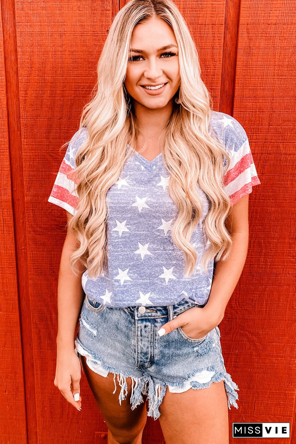 Blue Striped Sleeve Stars Print V Neck Tee