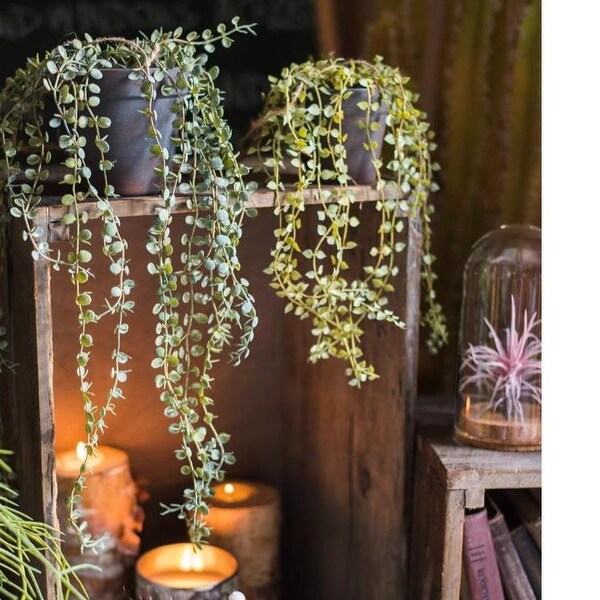 RusticReach Hanging Faux Ceropegia Vine in Pot