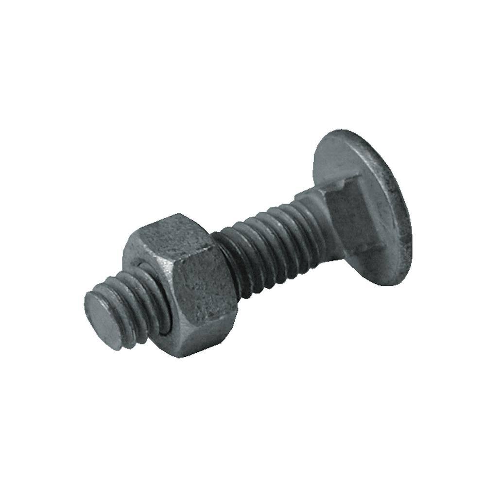 Everbilt 516 in. x 1-14 in. Galvanized Steel Carriage Bolt (20-Pack) 328502EB