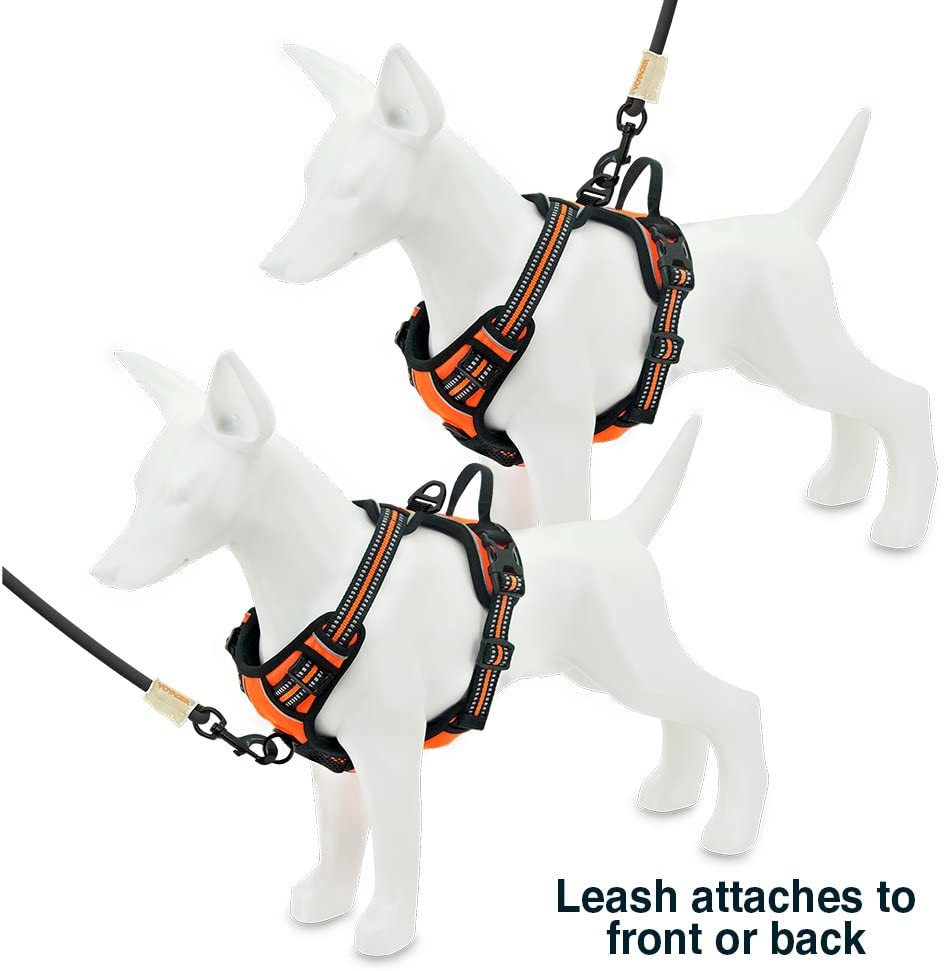 Voyager Dog Harness Dual Leash Attachment No-Pull Control Adjustable Soft but Strong Pet Harness for Medium and Large Dogs with 3M Reflective Technology - Orange， L (Chest: 25 - 30