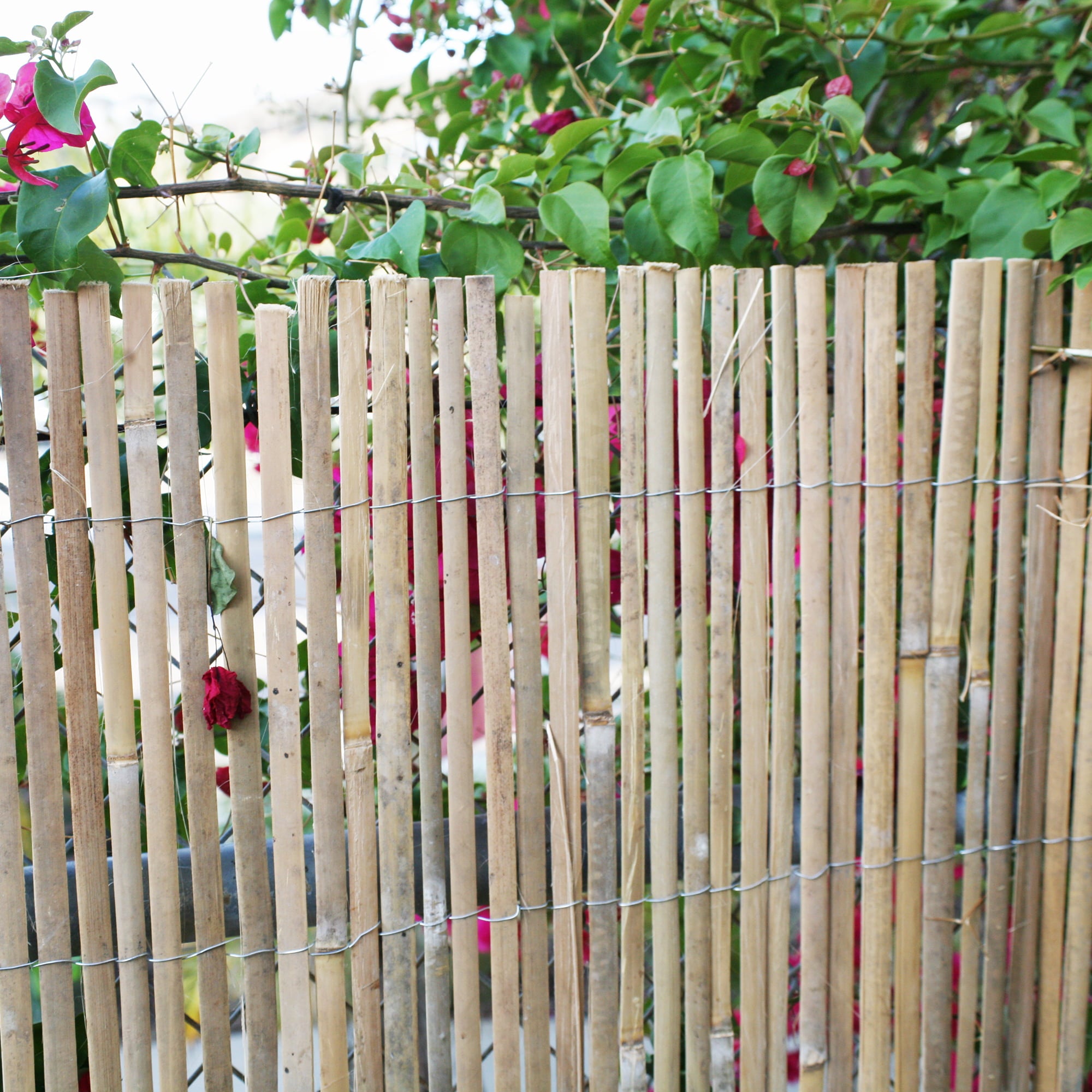 Backyard X-Scapes Natural Raw Split Bamboo Slat Fence 6 ft H x 6 ft L