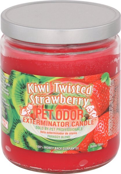 Pet Odor Exterminator Kiwi Twisted Strawberry Deodorizing Candle Jar