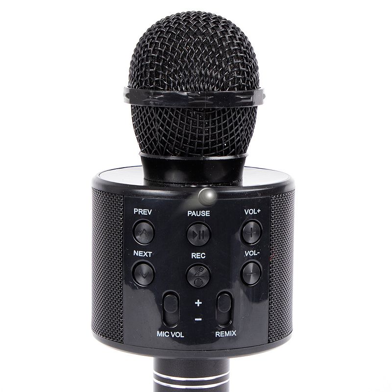 Nifty Karaoke Microphone