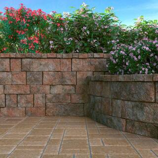 Pavestone RockWall 2 in. x 4.25 in. x 9 in. Palomino Concrete Wall Cap (320 Pcs.  89 sq. ft.  Pallet) 79981