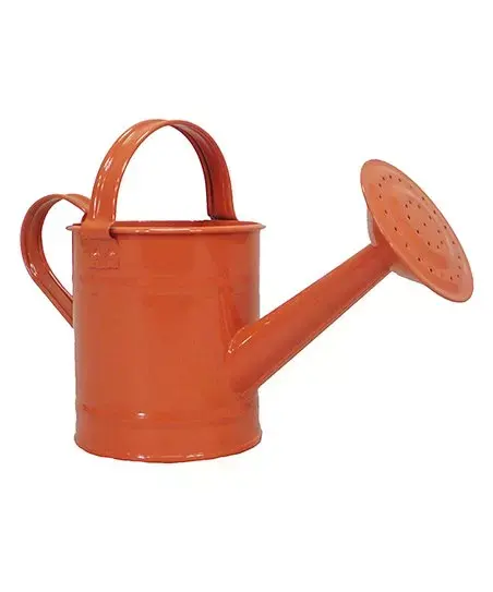 Modern Watering Can Planter Flower for Garden ware Red Color metal watering pot decorative Galvanized Water Can Garden Supplies