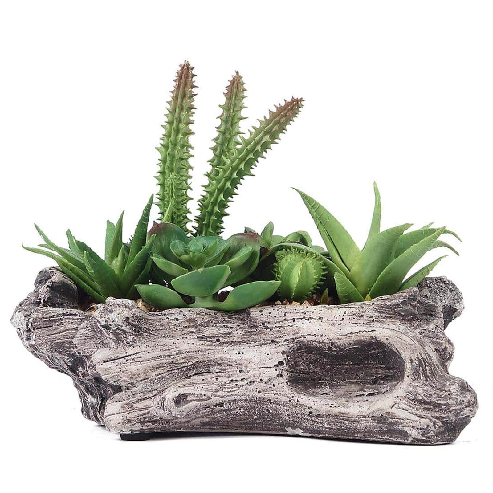 Natural Artificial Log Planter and 15 Assorted Succulent Plants 7