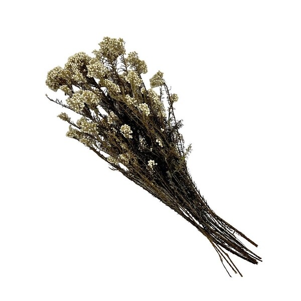 Bundle of 4 Preserved Millet ，Rice Flower