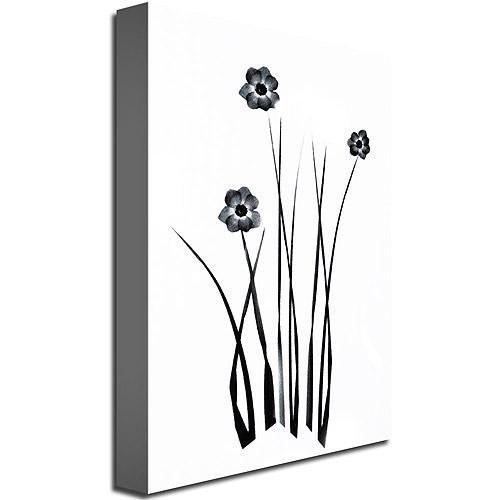 Trademark Art White and Black Bunch Canvas Wall Art by Kathie McCurdy