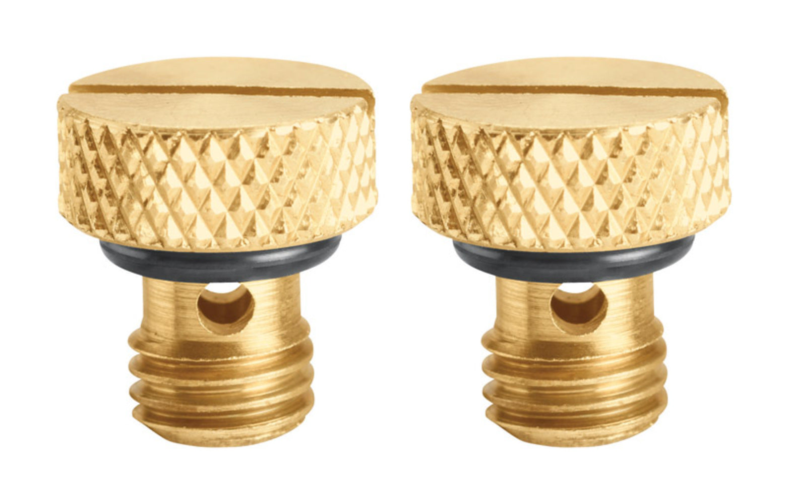 BLEED SCREW BRASS 2PK