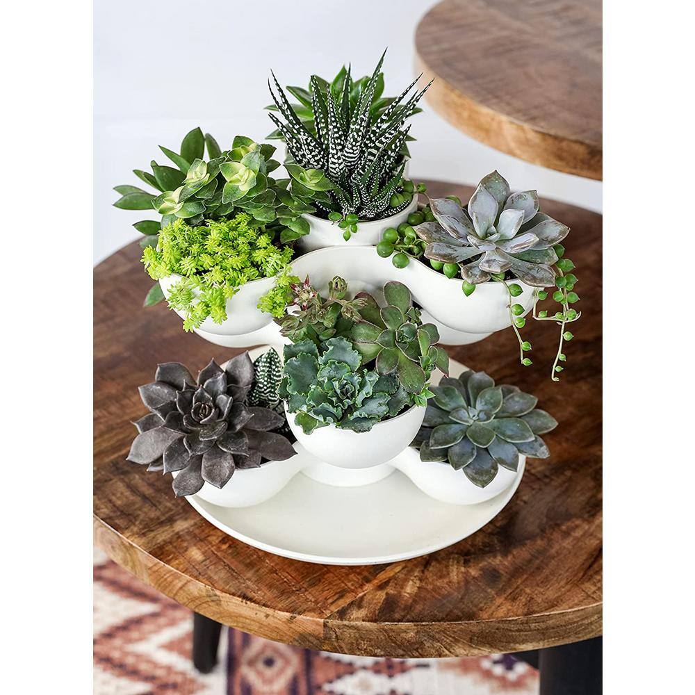 THE HC COMPANIES 8 in. Vanilla Bisque Pixie Indoor Stacking Succulent Planter Pot SPP08000A581004LRDHZ-VANILLA