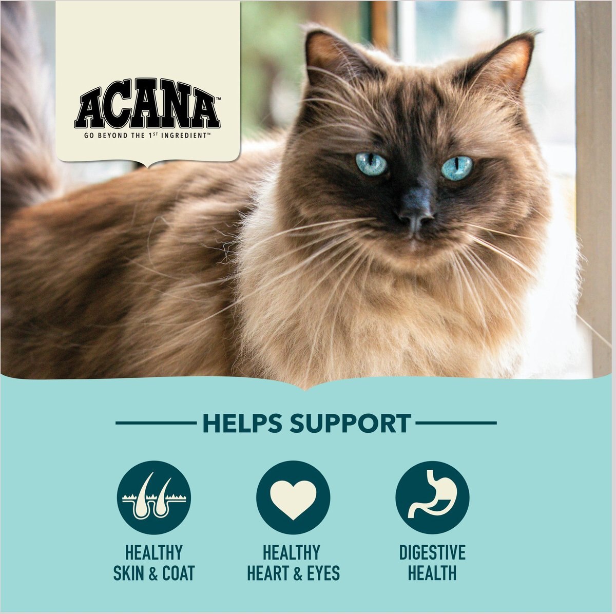 ACANA Bountiful Catch High-Protein Adult Dry Cat Food