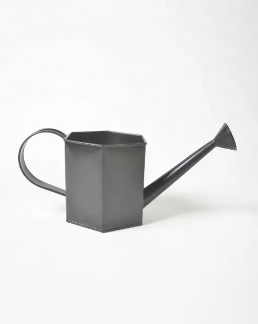 Buy  new decorative Watering Can use for gardens of hotels restaurants indoor outdoor made with pure and fresh metal