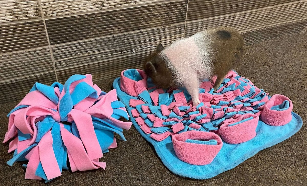 Piggy Poo and Crew Pig Rooting Snuffle Mat and Snuffle Rattle Ball