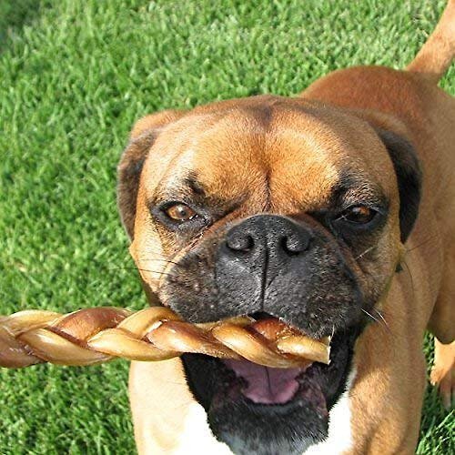 Pawstruck Braided Bully Sticks Dog Treats， 1-lb bag