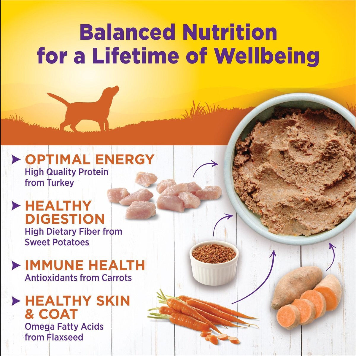 Wellness Complete Health Turkey and Sweet Potato Formula Canned Dog Food