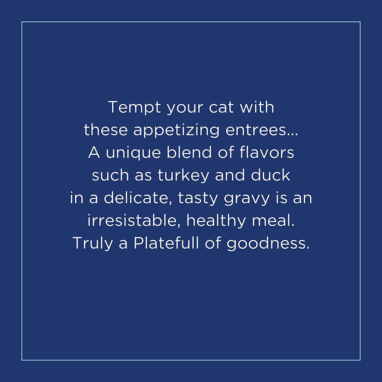 Natural Balance Platefulls Indoor Formula Turkey and Duck Formula in Gravy Grain-Free Cat Food Pouches 3-oz pouch case of 24