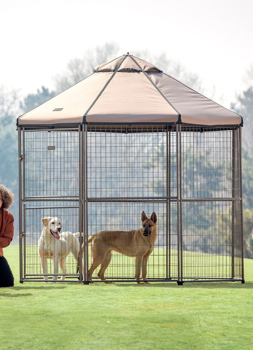 Win World Pet Gazebo Dog Kennel， Earth Taupe， 8-ft