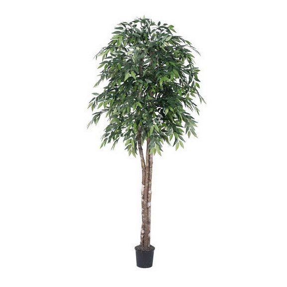 Vickerman Green Smilax Bush