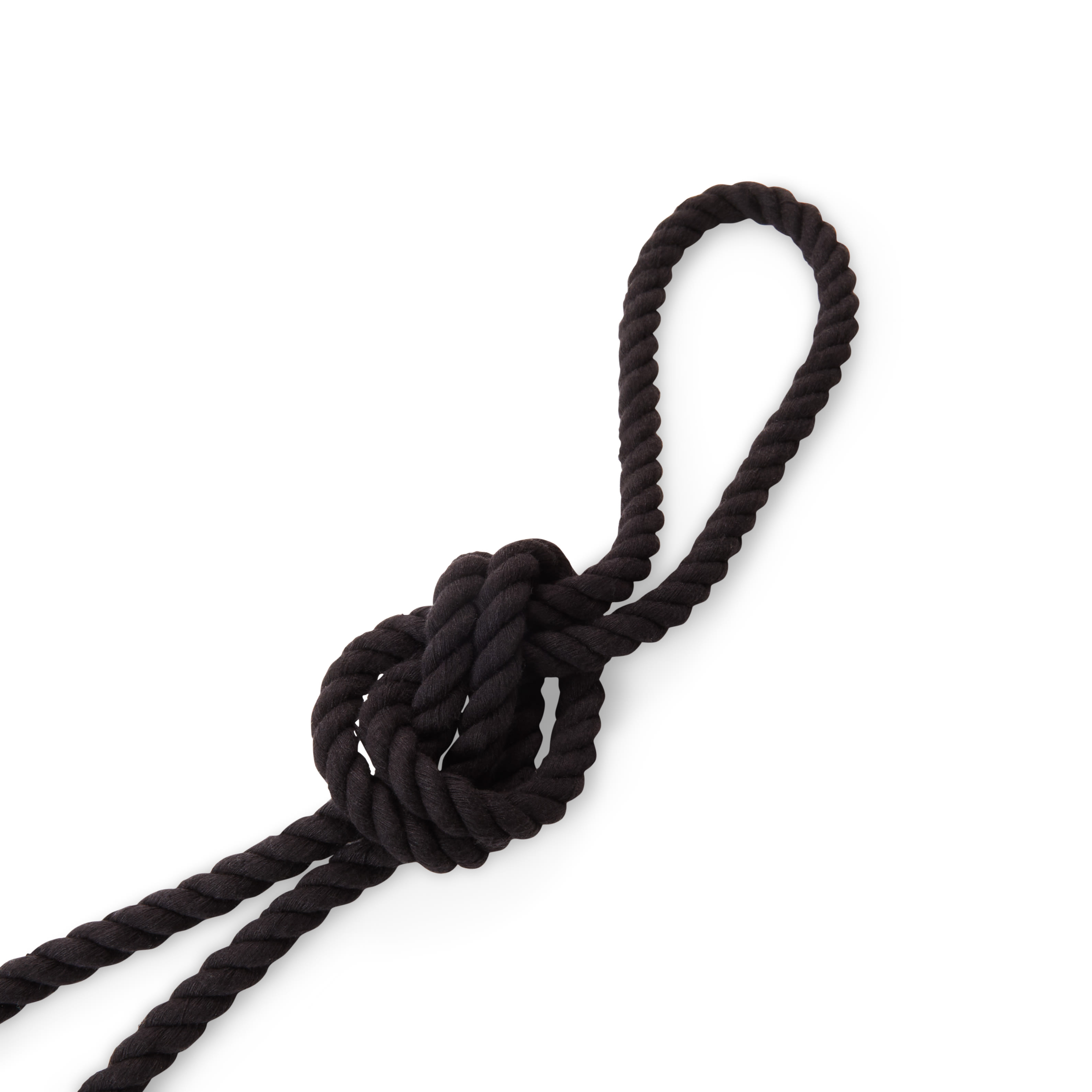 YOULY Black Rope Dog Leash， 5 ft.