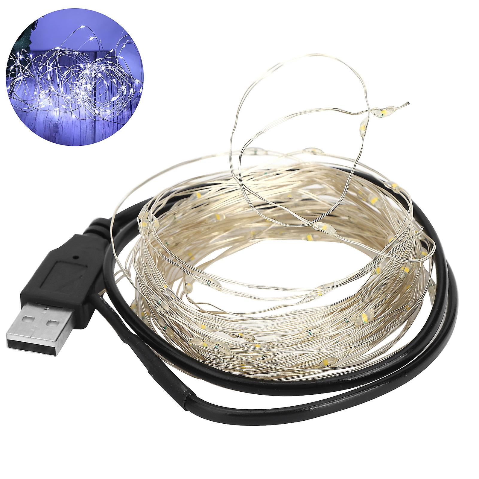 32.8ft Led Light String Copper Wire Usb Charging Decor Lamp For Halloween Home Partywhite Light