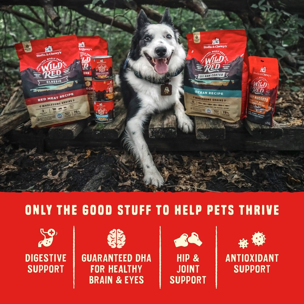 Stella and Chewy's Wild Red Raw Coated Kibble Puppy Grain-Free Prairie Recipe Dry Dog Food