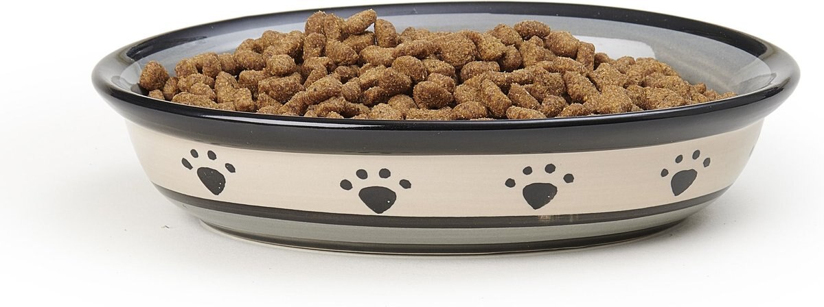 PetRageous Designs Metro Oval Ceramic Dog and Cat Dish