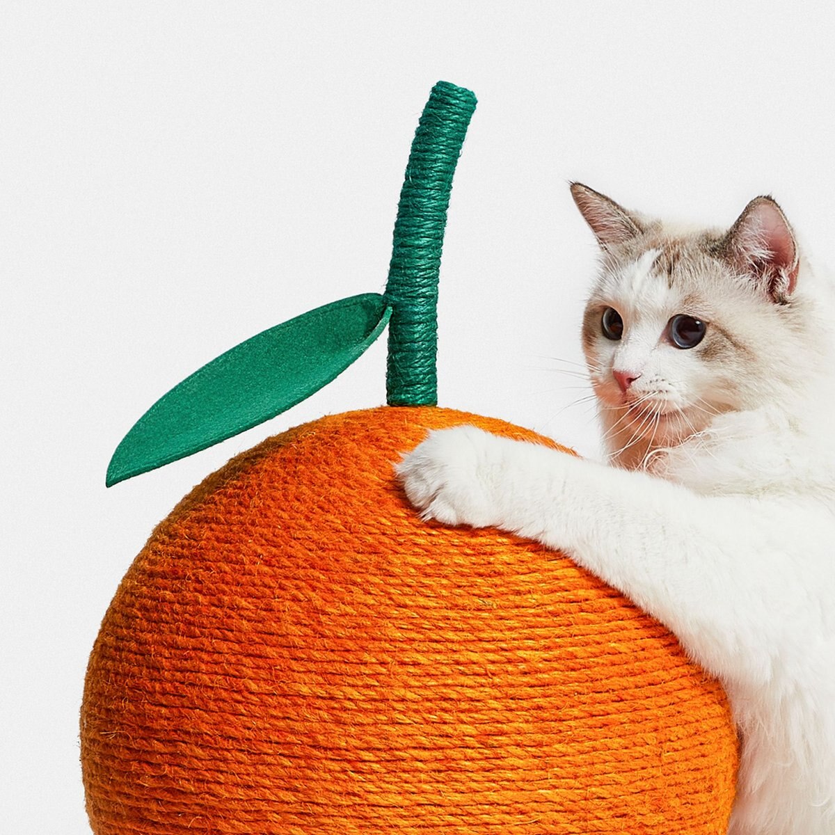 VETRESKA Tangerine Scratching Ball Cat Toy