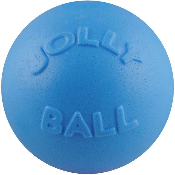 Jolly Pets Bounce-n-Play Dog Toy， Blueberry