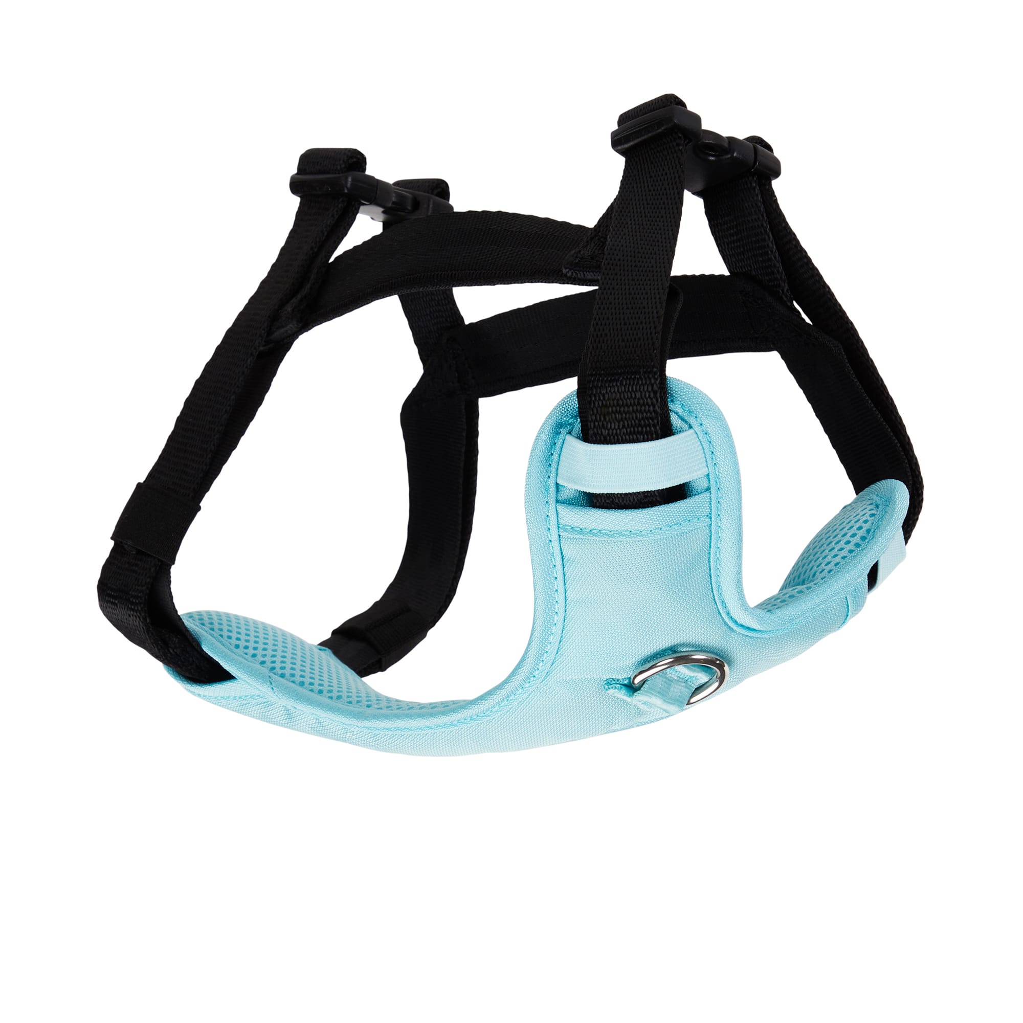 EVERYYAY Teal Crash Test Dog Harness， Small