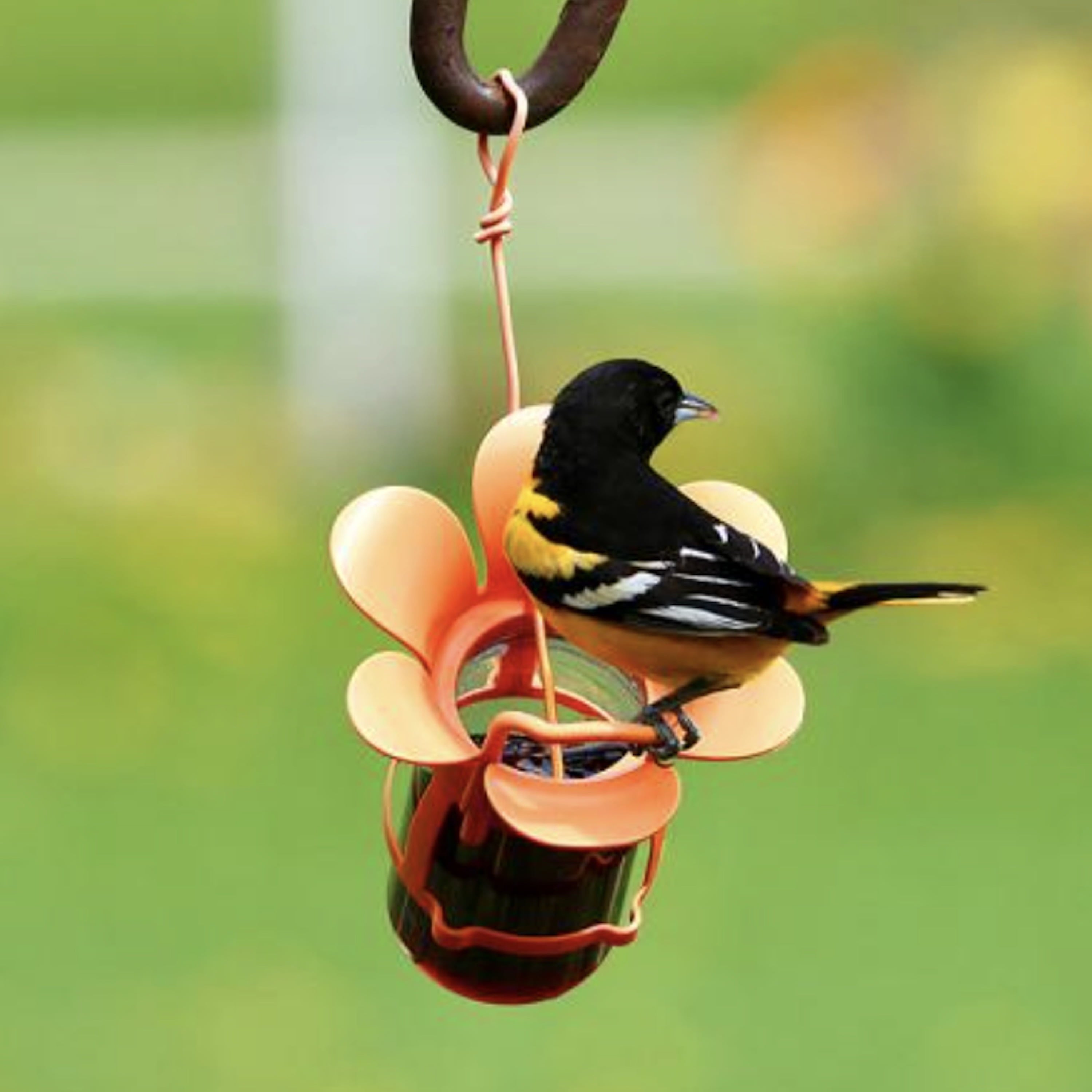 Songbird Essentials Grape Jelly Oriole Feeder， Fits Most 10-12oz Jelly Jars， Orange Plastic Bird Feeder