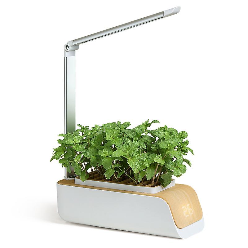 Indoor Herb Garden Kit With Grow Light | Smart Garden For Home Kitchen Windowsill | Easier Than Hydroponics Growing System