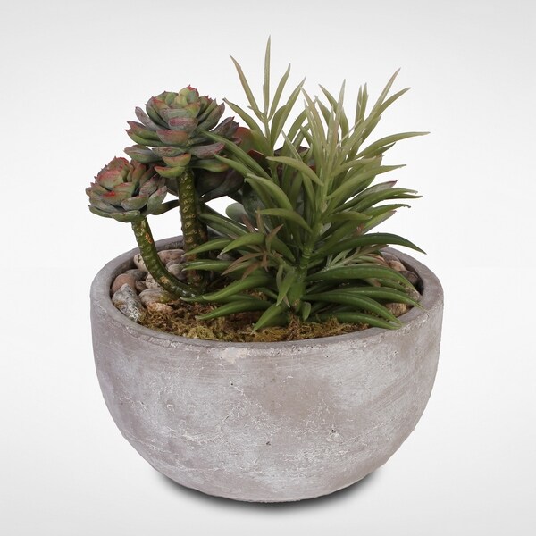 Artificial Succulents with Natural Pebbles in a Cement Bowl