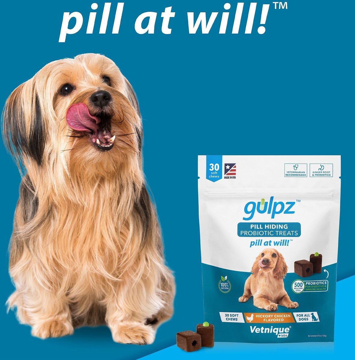 Vetnique Labs Gulpz Pill Hiding Probiotic Hickory Chicken Flavor Dog Treats