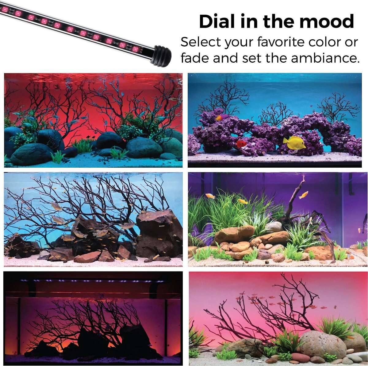 Current USA LightSerene Background LED Aquarium Light Kit