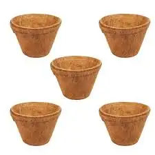 Modern Home Decor Benefits ofCoco HuskPots for Gardening Coco Coir Pots Function Meets Eco Friendliness In Indoor Outdoor Plants