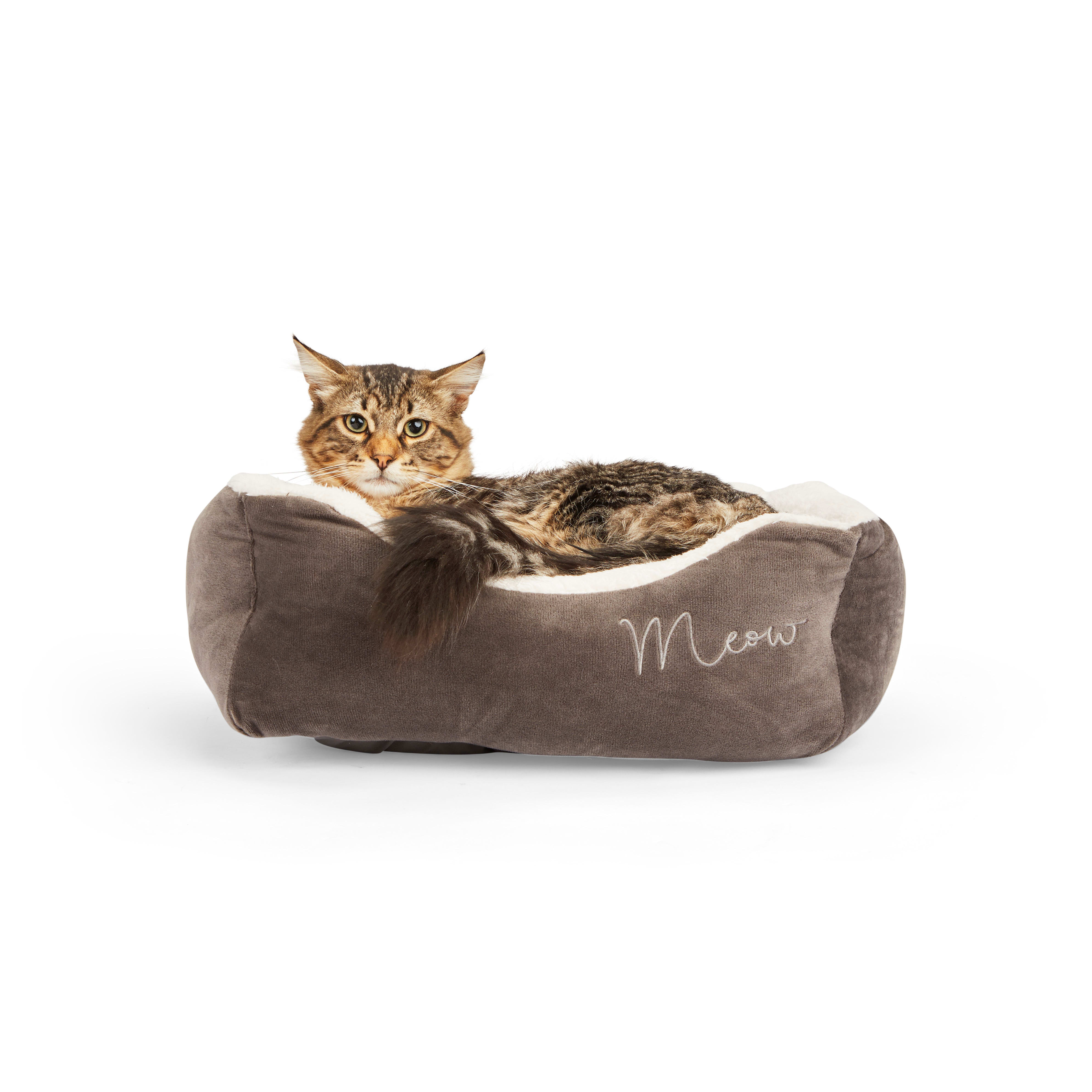 EveryYay Snooze Fest Grey Rectangular Cat Bed， 18