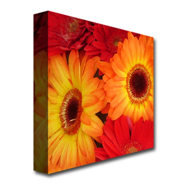 Trademark Fine Art amy Vangsgard x27 orange And Red Gerbers x27 Canvas Art