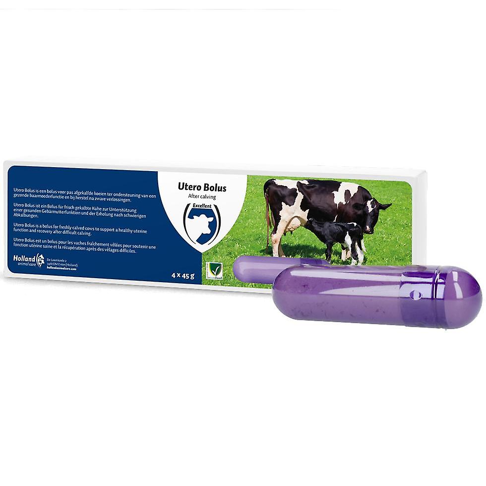 Utero Bolus Supplementary Feed For Cattle