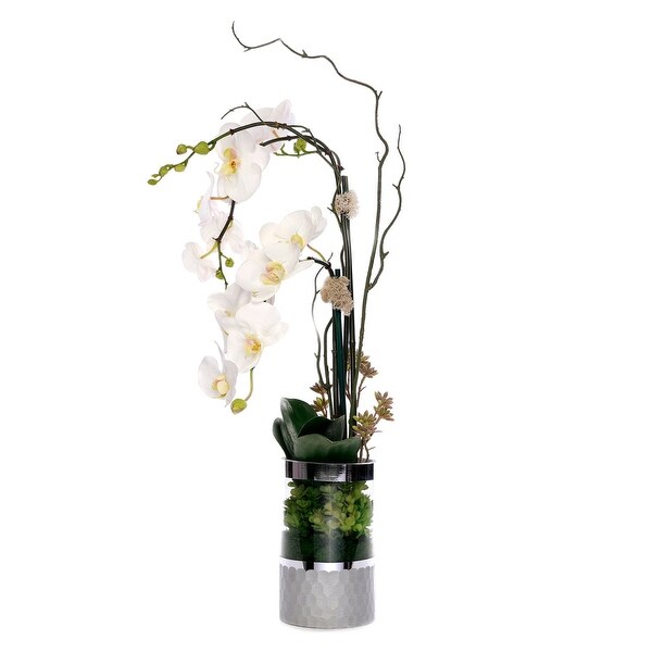 White Orchid Arrangement in Silver Cylinder Glass Vase